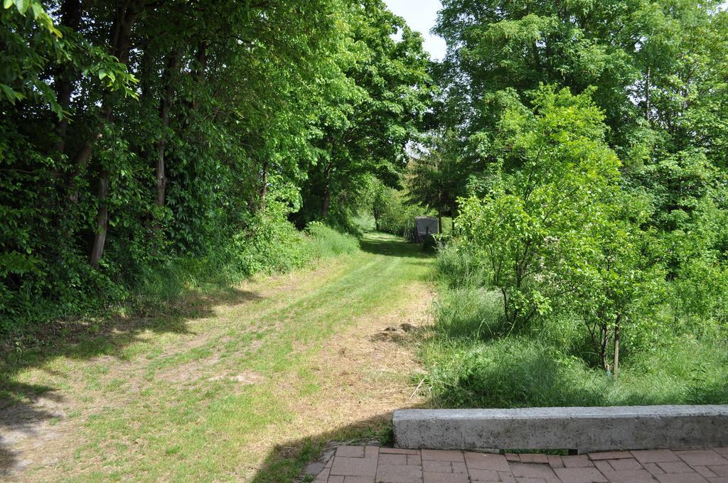 Ferienwohnung Kastle Bad Bergzabern Buitenkant foto