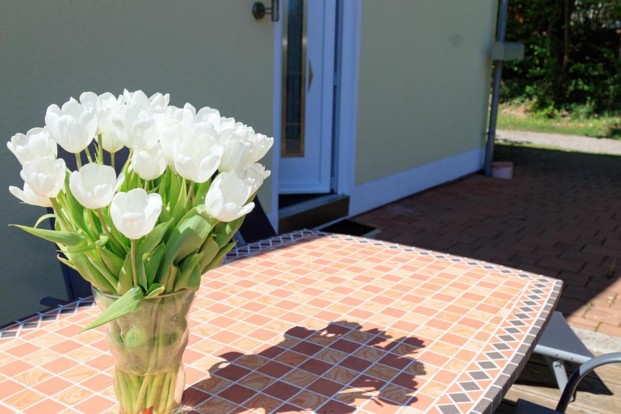 Ferienwohnung Kastle Bad Bergzabern Buitenkant foto